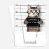 I Love My Cat Stainless Steel Necklace with Greeting Card